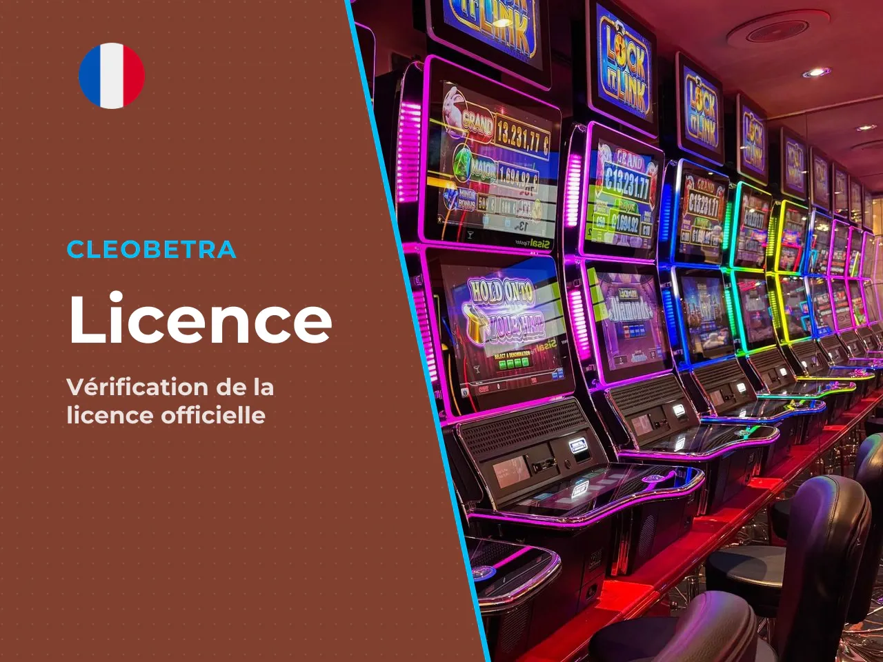 14.1 La licence de l'opérateur. Le