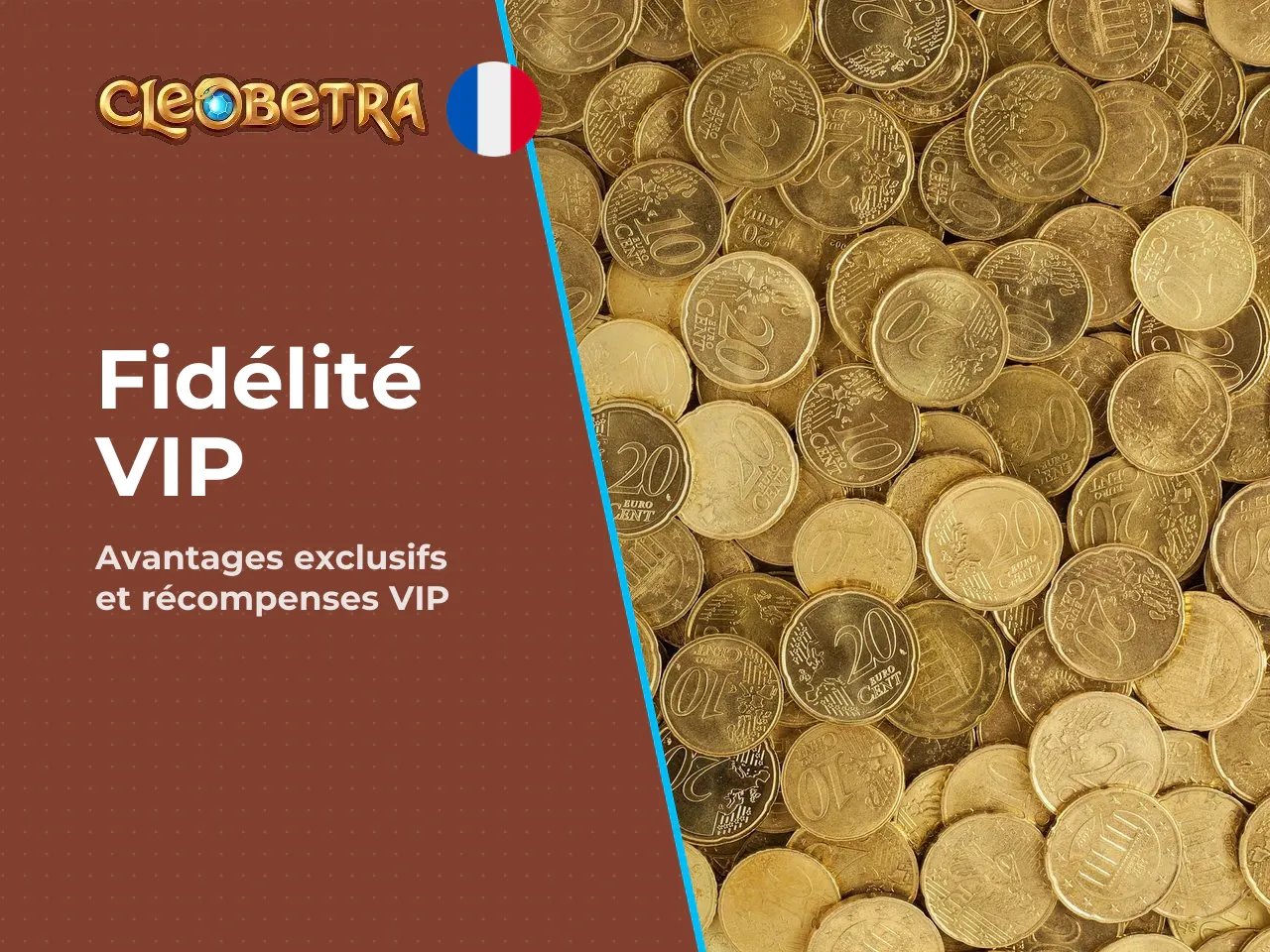 Programme VIP et fonction exclusive Bonus