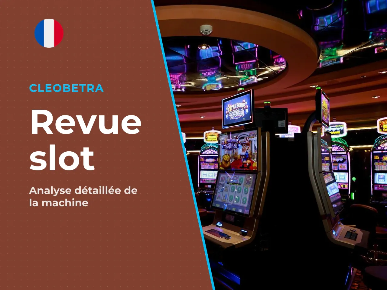 Développeur et thématique de Fire Joker