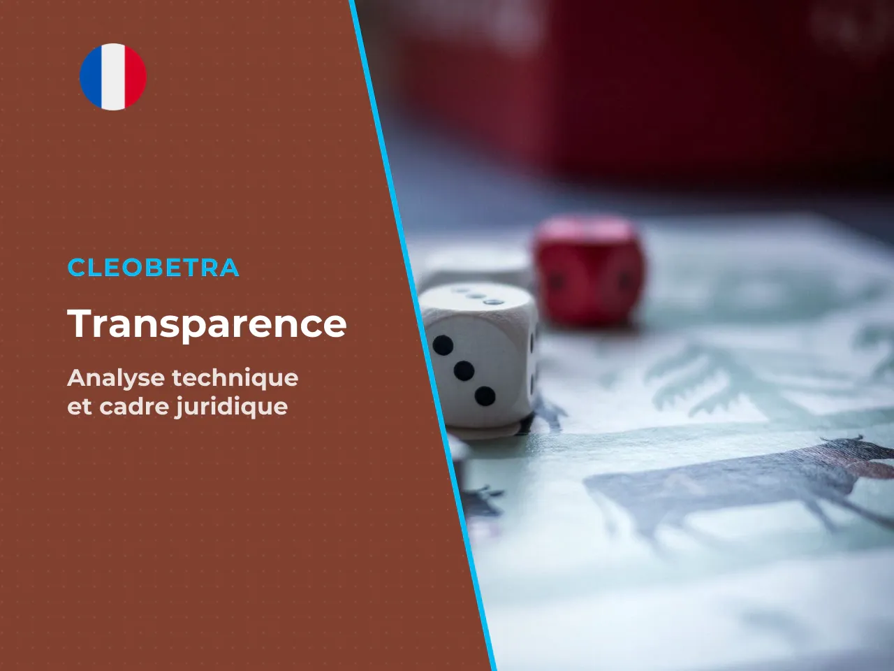 Conclusion transparence technique n'est pas protection