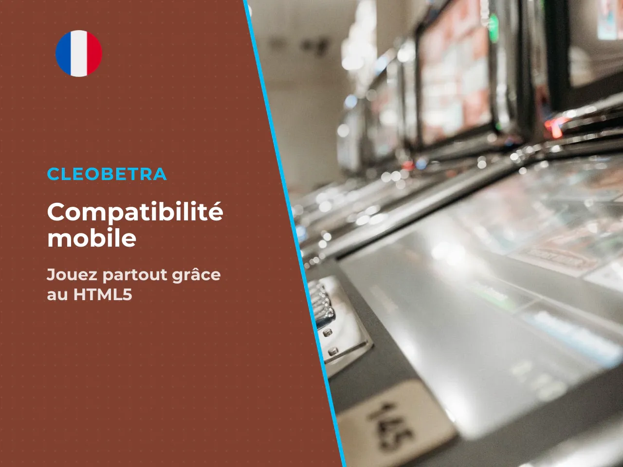 11.3 Compatibilité mobile ce que garantit