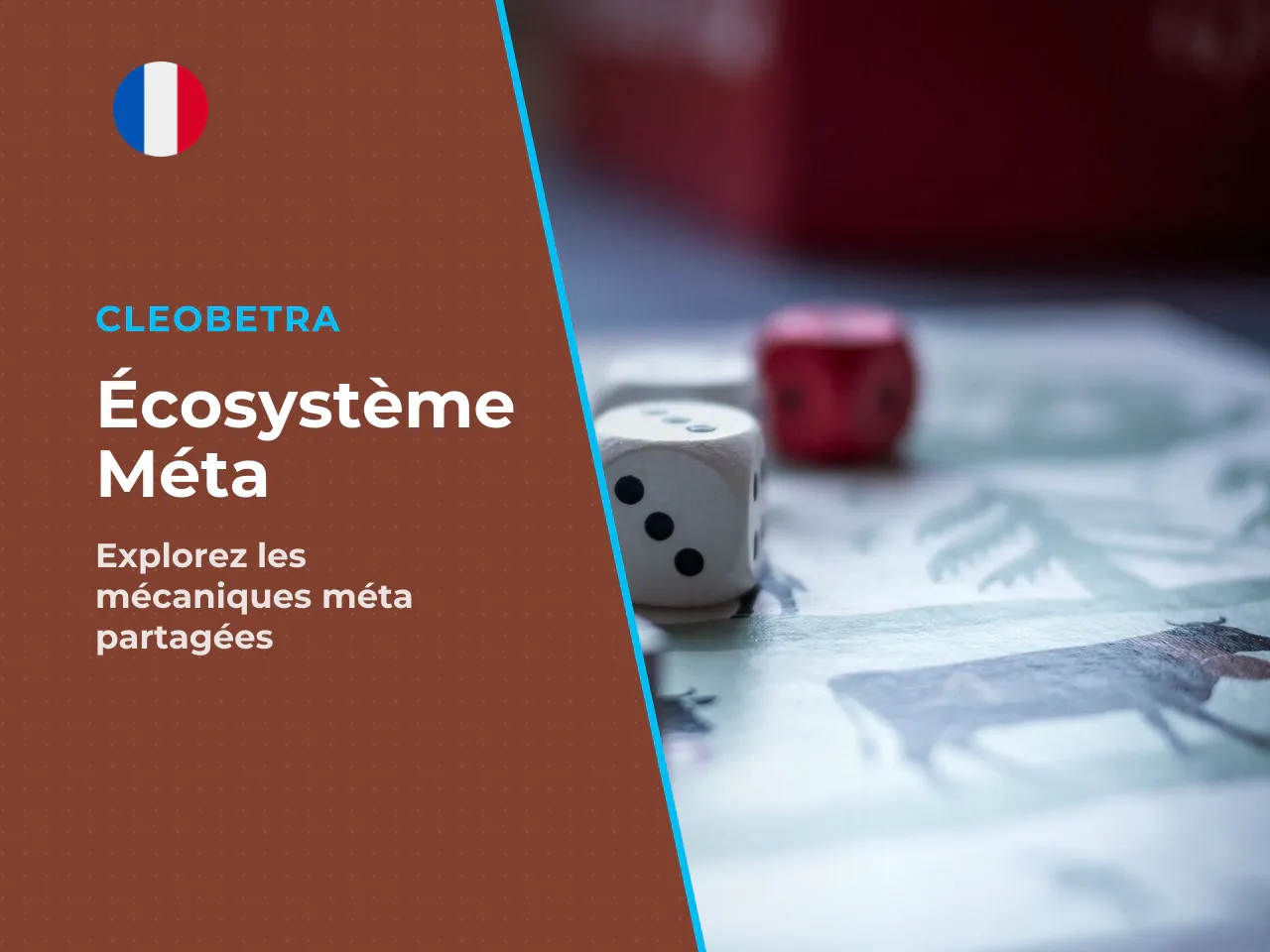 13.2 Le concept de Metaverse Aviatrix