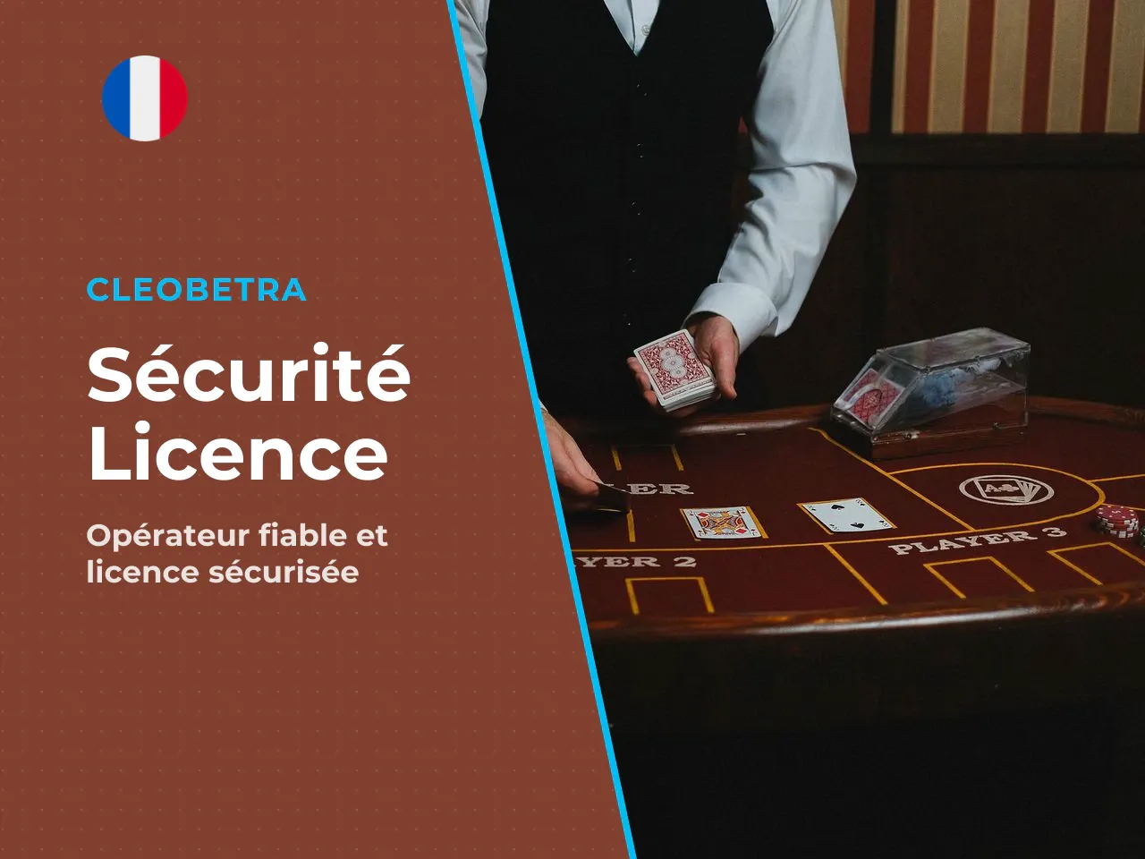 Sécurité, opérateur et licence de Cleobetra