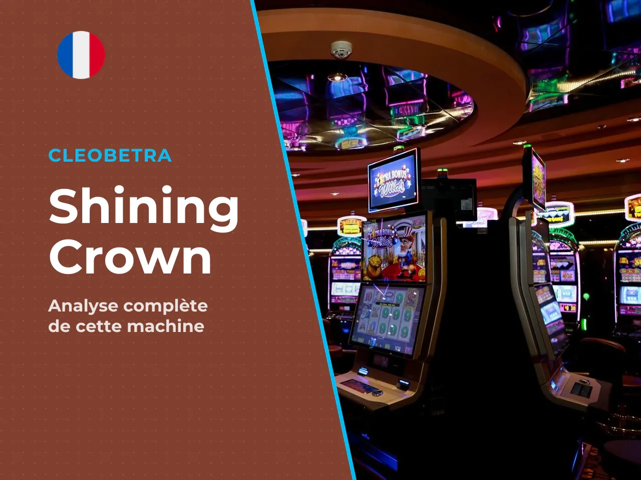 L'essentiel en dix lignes. Shining Crown