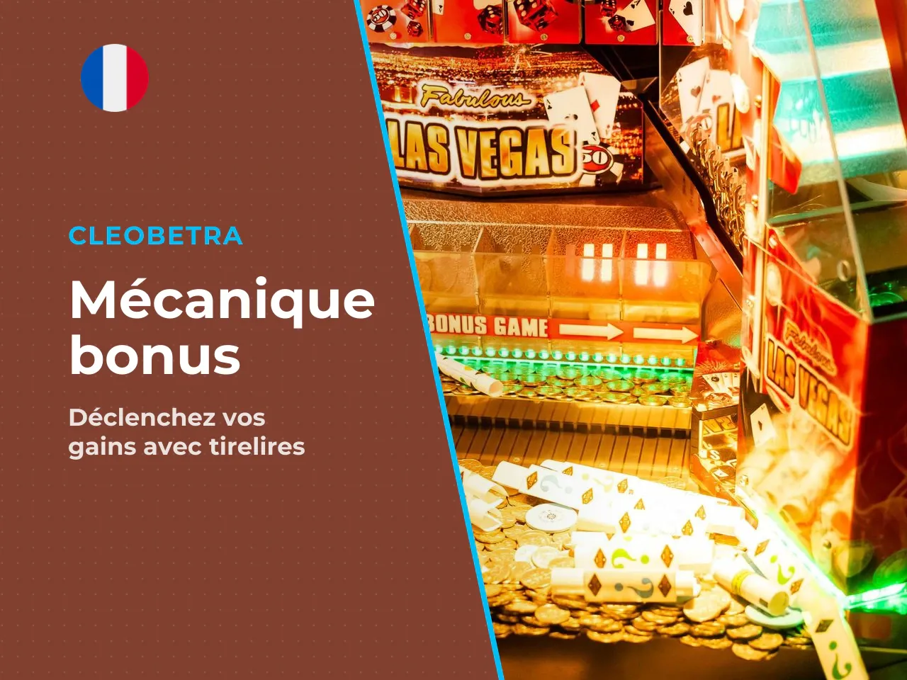 5.1 Bonus Coins Piggy Collect. 1