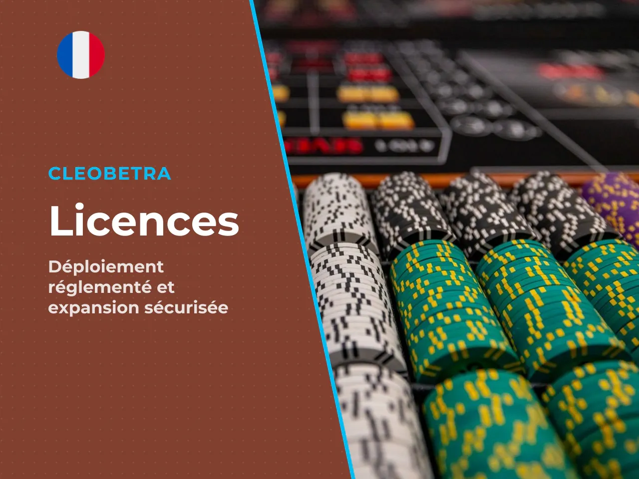 Deux jalons documentés la licence B2B