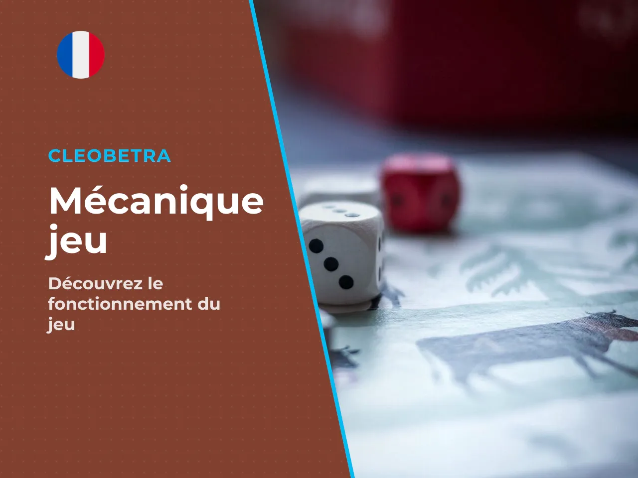 4.1 Description générale du jeu. Aviatrix