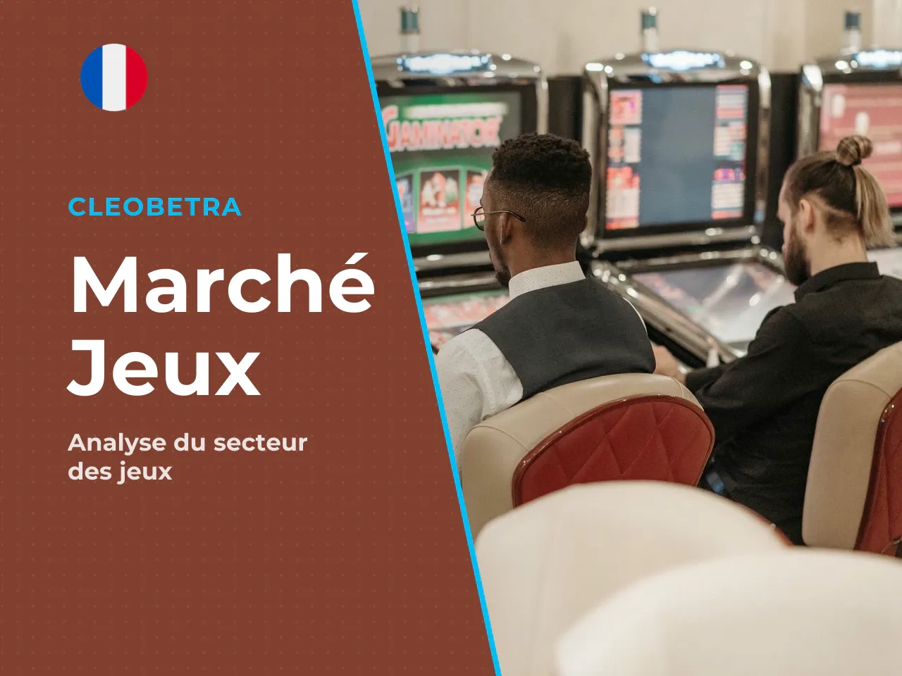 Pour mesurer l'ampleur économique du segment