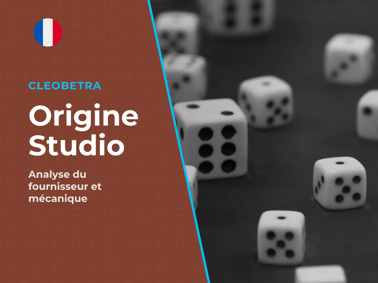 3.1 Origine et fournisseur. Aviatrix est